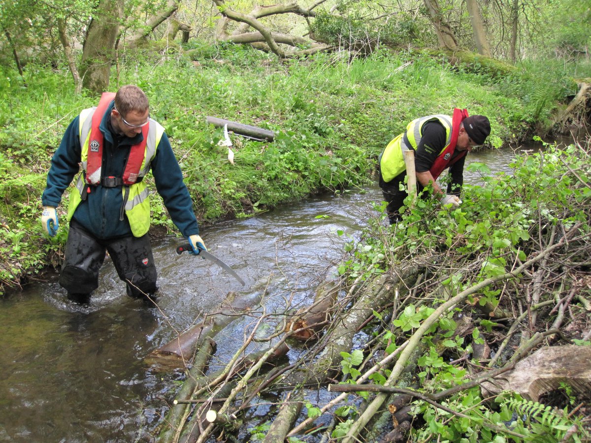 EA Geomorphology tweet media