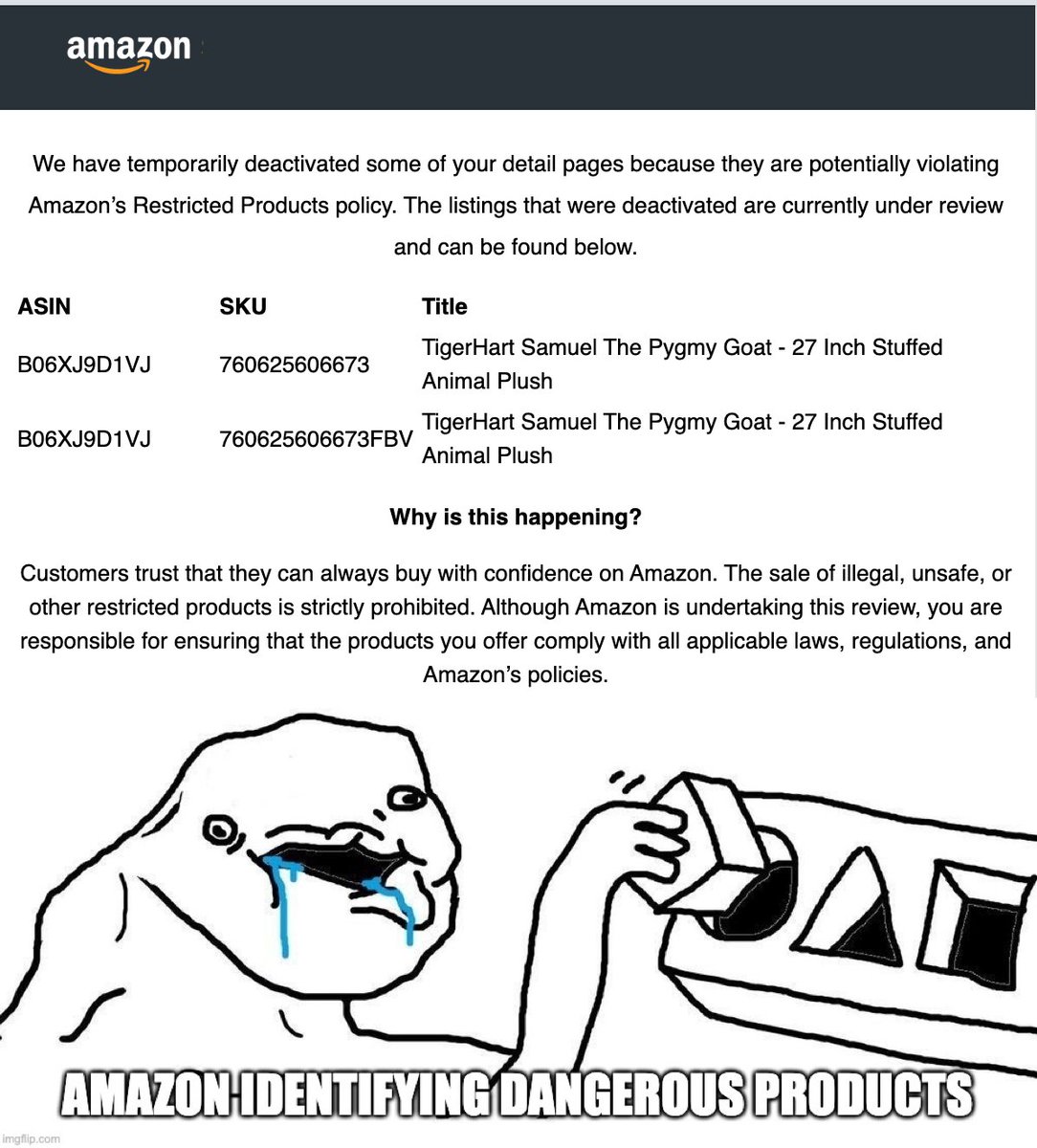 molson 🧠⚙️ tweet media