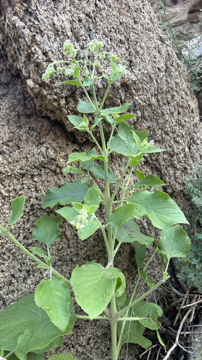 محمد القرشي tweet media