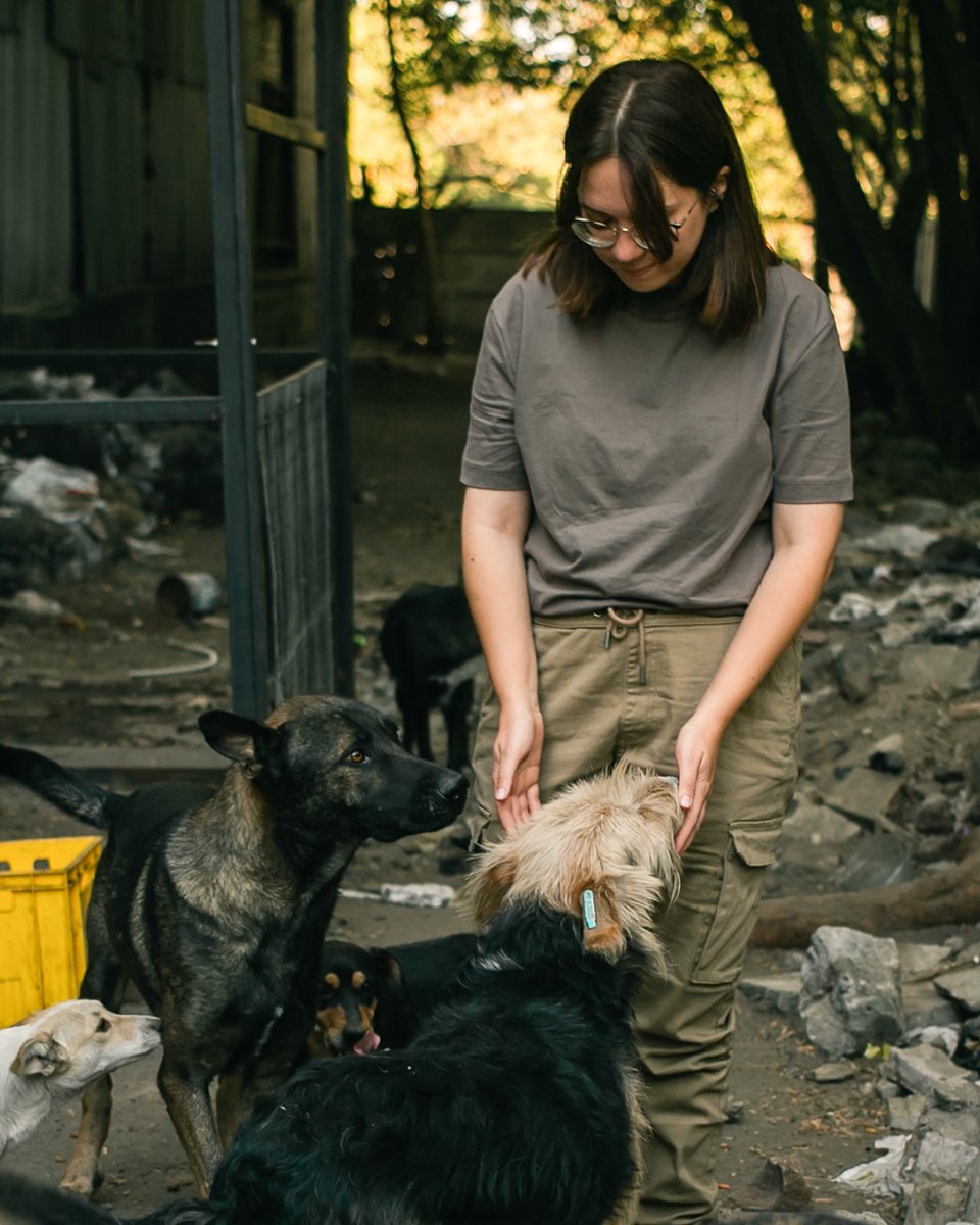 "Hospitails" is the veterinary branch of the Hospitallers, bringing together volunteers, veterinarians, and surgeons. These people have united to provide assistance to animals affected across various regions of Ukraine🇺🇦
Read more and support>hospitallers.org.uk/post/the-veter…