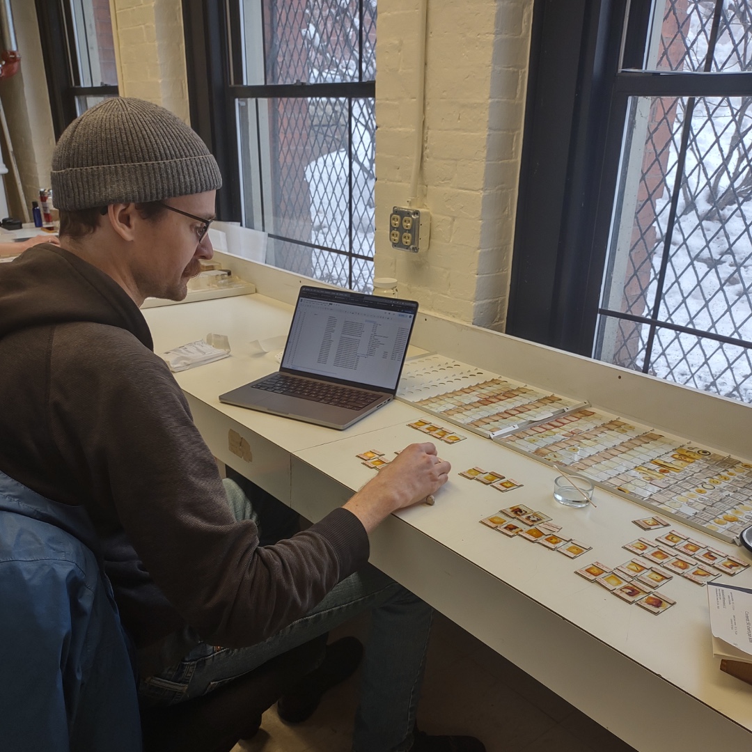 MCZHarvard's tweet image. In January, MCZ collections hosted students from the @HarvardExt Museum Collections Care course. Students worked with many MCZ collections on a variety of projects.