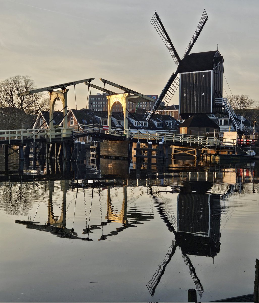 Gilles van Wezel 💙💛 tweet media