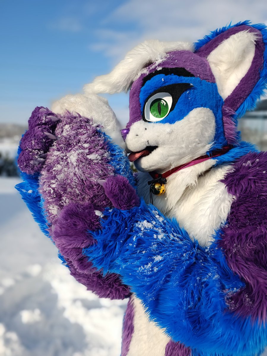 Awuuuu.

 #furry #fursuit #furries #furrcat