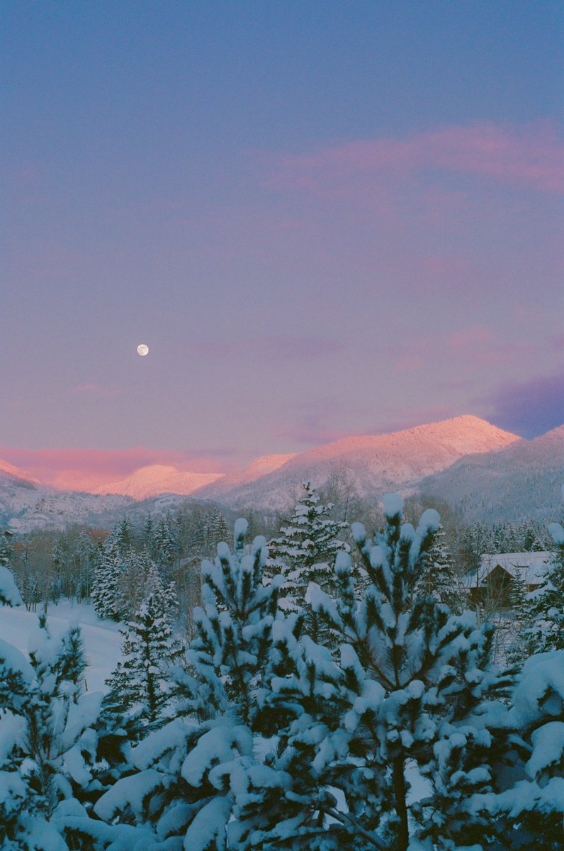 Winter pastels on 35mm