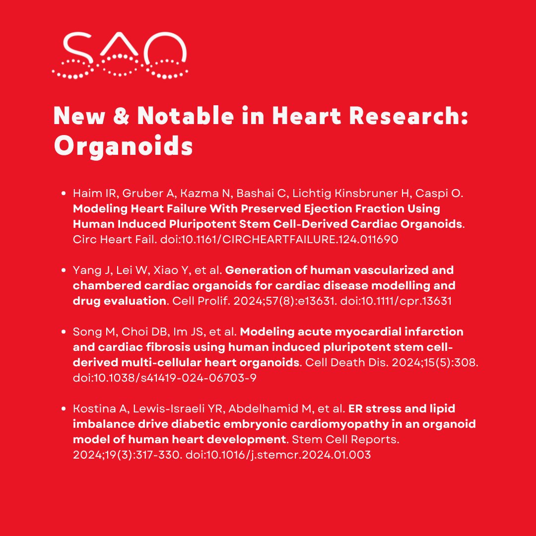 Science Advancement and Outreach (@saoscience) on Twitter photo 🫀 Human cardiac organoids are complex, self-organizing 3D tissues that recapitulate human physiology.
Check out these studies by <a href="/IdanRHaim/">Idan Refael Haim</a>, <a href="/MDCaspi/">Oren Caspi 🎗️</a>, <a href="/KostinaAleksa/">Aleksandra Kostina</a>, <a href="/aaguirrecano/">Aitor Aguirre</a>, & others in <a href="/CircHF/">Circ: Heart Failure</a>, <a href="/BISCRM/">Cell Proliferation</a>, <a href="/cddpress/">CDD press</a>, & <a href="/stemcellreports/">StemCellReports</a>. 🫀 Human cardiac organoids are complex, self-organizing 3D tissues that recapitulate human physiology.
Check out these studies by <a href="/IdanRHaim/">Idan Refael Haim</a>, <a href="/MDCaspi/">Oren Caspi 🎗️</a>, <a href="/KostinaAleksa/">Aleksandra Kostina</a>, <a href="/aaguirrecano/">Aitor Aguirre</a>, & others in <a href="/CircHF/">Circ: Heart Failure</a>, <a href="/BISCRM/">Cell Proliferation</a>, <a href="/cddpress/">CDD press</a>, & <a href="/stemcellreports/">StemCellReports</a>.