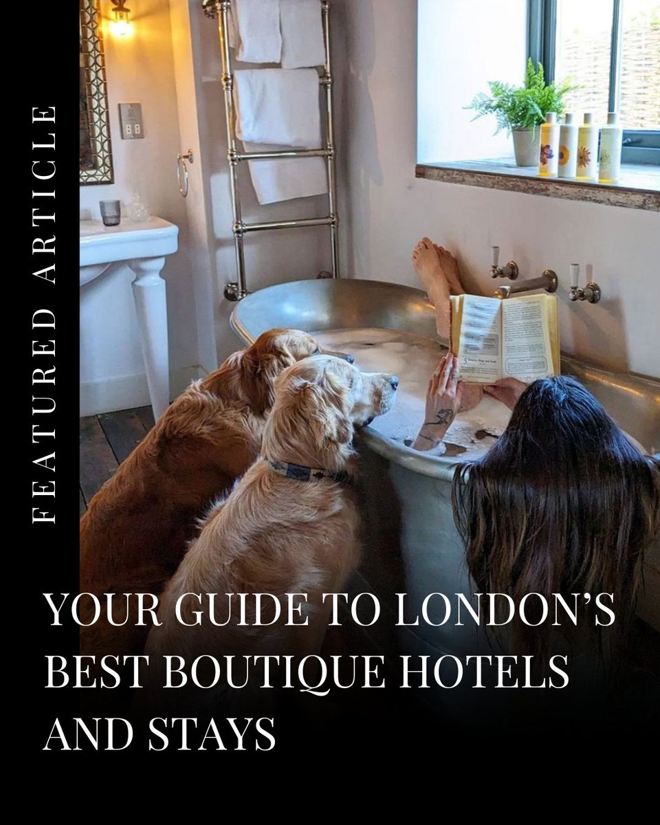 ddw's tweet photo. Boutique London: Chic Stays from Trendy East to Luxurious Kensington’s Hidden Gems

Click the link below to read the full article.
https://t.co/qS3ogLvCt1

#LondonHotels #BoutiqueStays #LuxuryTravel #Kensington #EastLondon #ArtistResidence #BattyLangleys #EmberLocke https://t.co/oGrueEBv96