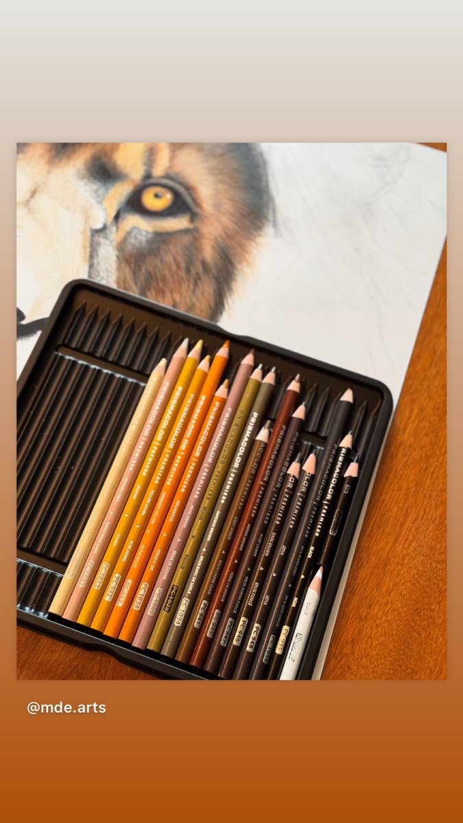There is something very satisfying about seeing the color palette of a project. I’m using Prismacolor Premier pencils. If you are in to art, what are your favorites tools to use? Drop the details in the comments! <a href="/prismacolor/">anahid ortega</a> 
#prismacolor #coloredpencils #drawingoftheday #lion