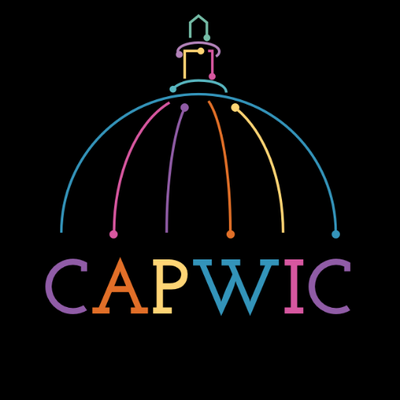 Susan Zehra (CAPWIC'24 Scholar) tweet media