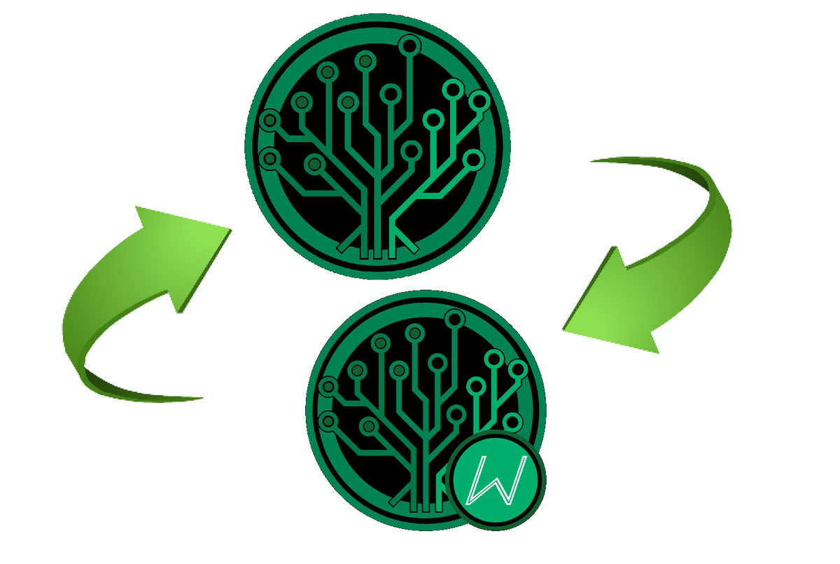 EverGreenCoin® ($EGC) 🌲 🪙 🛡️ tweet media