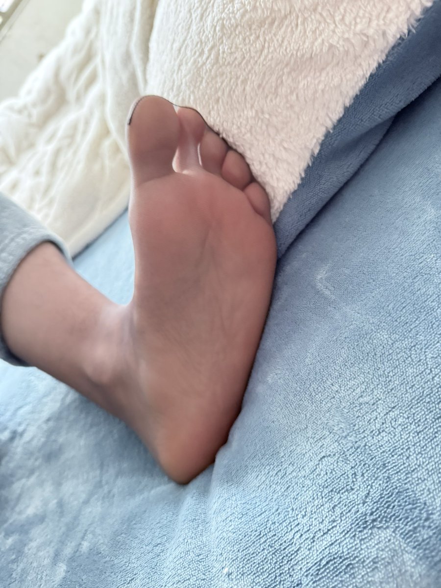 毛茸茸的黑丝