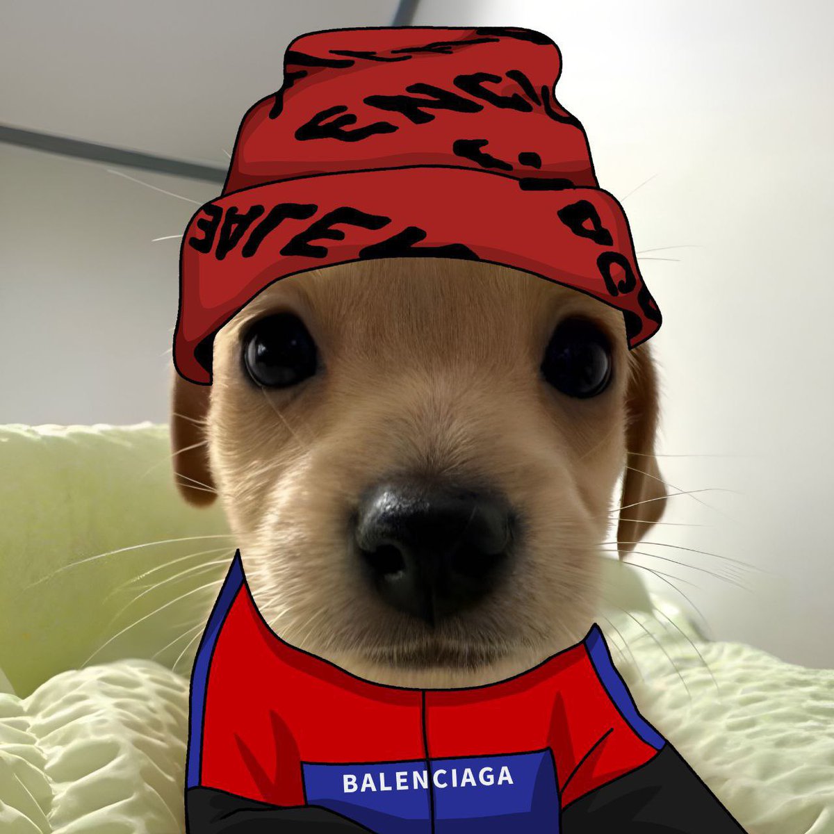 LarovaFa's tweet image. For me $BILLY is not dead yet. This beautiful dog can't leave just like that. Your graph will go crazy once again like when it appeared. Give him time to recover. I'm not selling my bag. 🐶 #bitcoin #solana lts fck gooo !! 🚀