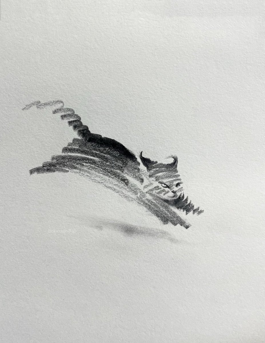 shouxin13141's tweet photo. A group of mischievous little line-drawn cats is pouncing your way!
#shouxinsketch #petart #animalart #illustrationartists #cat #pet #sketch #sketchdaily https://t.co/R5C7M9e6Ey