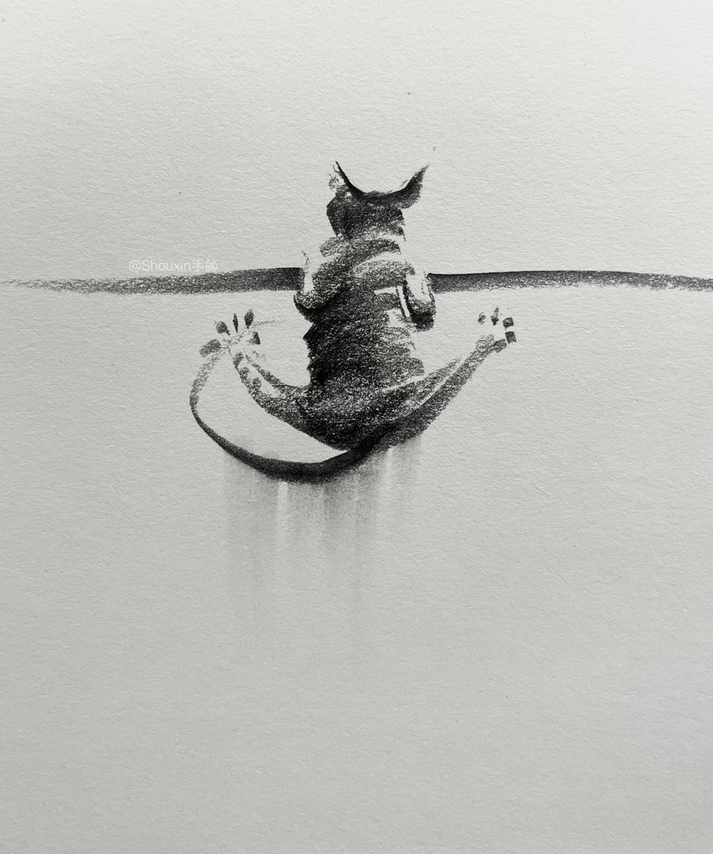 shouxin13141's tweet photo. A group of mischievous little line-drawn cats is pouncing your way!
#shouxinsketch #petart #animalart #illustrationartists #cat #pet #sketch #sketchdaily https://t.co/R5C7M9e6Ey