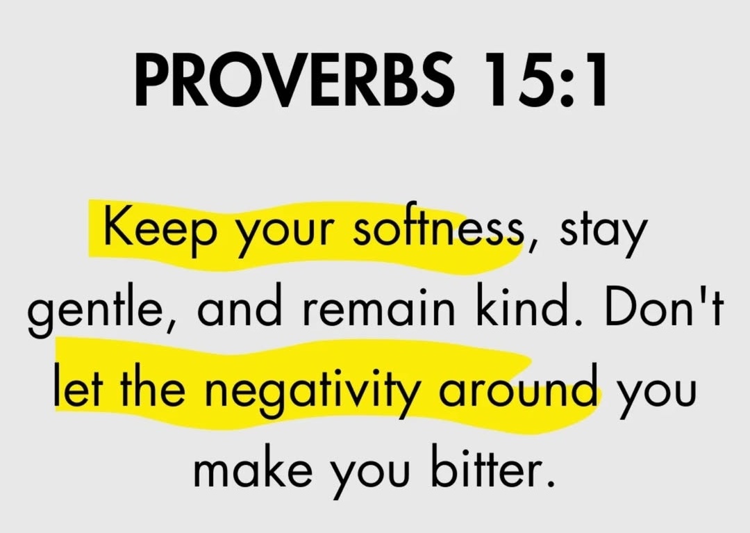 Holy Bible tweet media