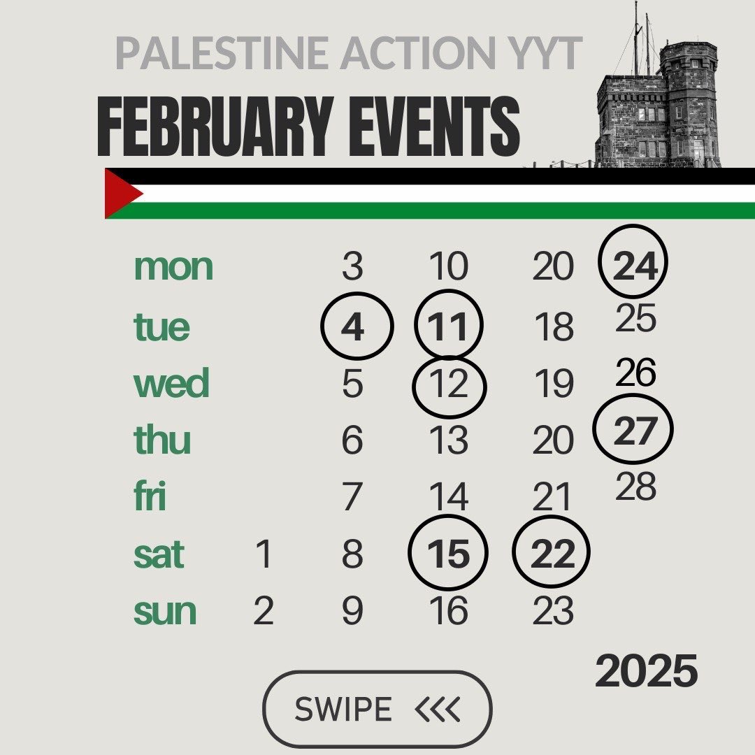 Palestine Action YYT tweet media