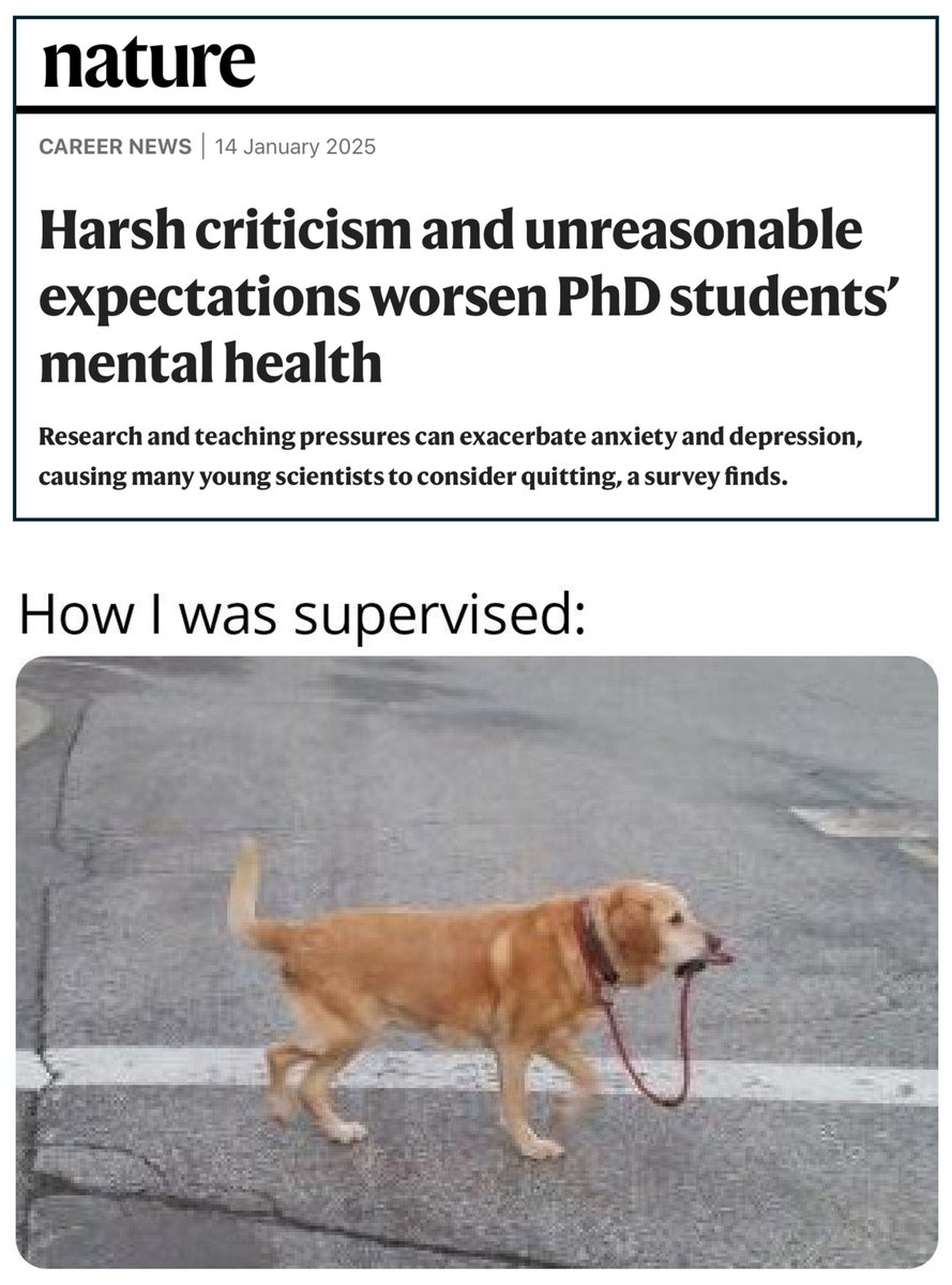 ❗BIG SURVEY: 
Research &amp; teaching pressure + Harsh criticism + Unreasonable expectations 🟰 PhD students with anxiety and depression.

It is a VERY important study.
Because it indirectly shows the role of mentorship.

[STUDY: Self-selecting survey, to which 2,161 graduate