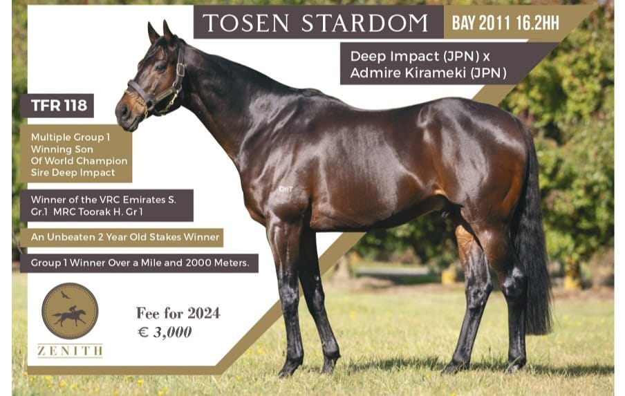 Tosen stardom the multiple Group one winning son of Deep Impact will stand at a reduced fee in 2025 🐴
He has sired 65 individual winners of more than 125 races 🙌
.
<a href="/RacingPost/">Racing Post</a> <a href="/rpbloodstock/">Racing Post Bloodstock</a> <a href="/anz_news/">ANZ News</a> <a href="/bloodstocknews/">EBN</a>
. 
#zenithstallions #tosenstardom #deepimpact