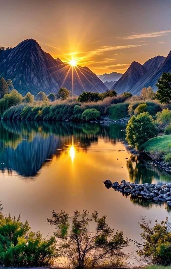 JESSICA X.🎸 tweet media