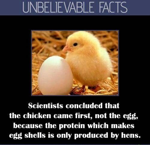 TheHistoryGuy07's tweet photo. Science affirms creation. #NotEvolution https://t.co/EbVLqMeZF8