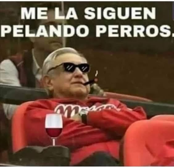 Gramoxxi's tweet photo. #ÚLTIMAHORA #URGENTE 
Ya se arregló TRUMP con CLAUDIA SHEINBAUM  en cuestión de aranceles y migración.
Lo único que PERMANECE es que los PRIANISTAS se exhibieron como las RATAS TRAIDORAS que son.
#FelizLunes 
#UnDiaSinInmigrantes
#dólar #TenemosMuchaPresidenta https://t.co/ChZ4Wmwkzp