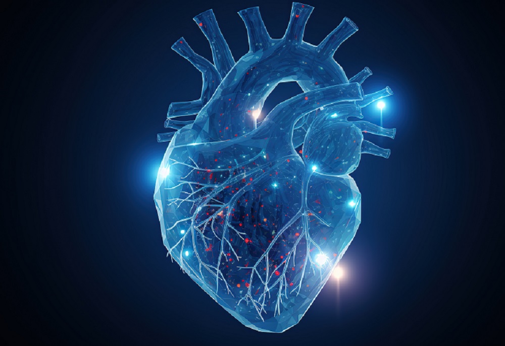 February is #AmericanHeartMonth, and heart disease is the leading cause of death in the United States. A recently published study by <a href="/USFHealthMed/">USF Health Medicine</a>'s Dr. Daniela Crousillat showed how deadly aortic ruptures often go unrecognized, especially in women. bit.ly/3uU3VHl