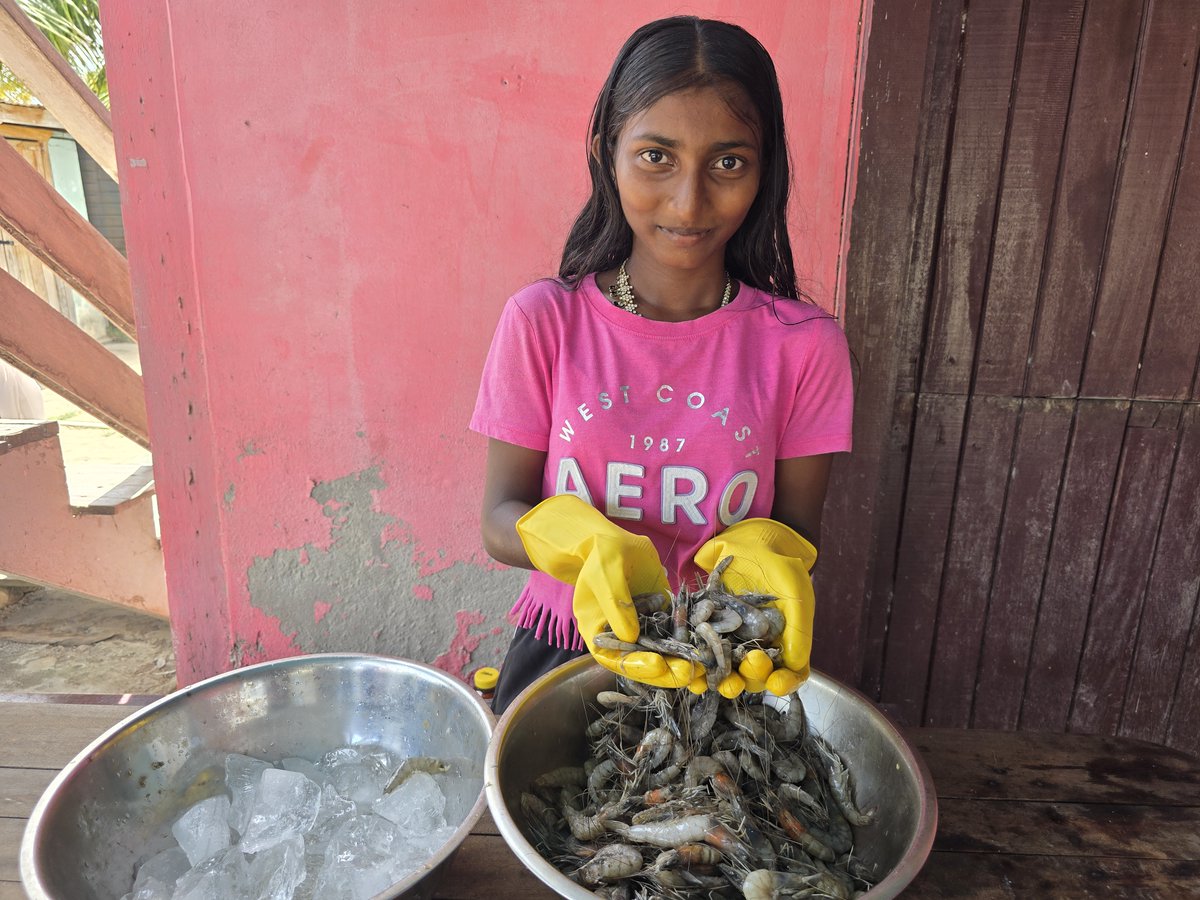 FAOCaribbean's tweet photo. 🇬🇾🦐Stepping boldly into #Guyana’s #aquaculture space, brackish water shrimp farmers are finding ways to thrive amidst #climate change. @FAOCaribbean Value Chain Dev team & @MinAgriGy are working to support this sector. #valuechains4change
Story here👉🏾https://t.co/CJiFJ1nh8K https://t.co/OuhbY2EiNe