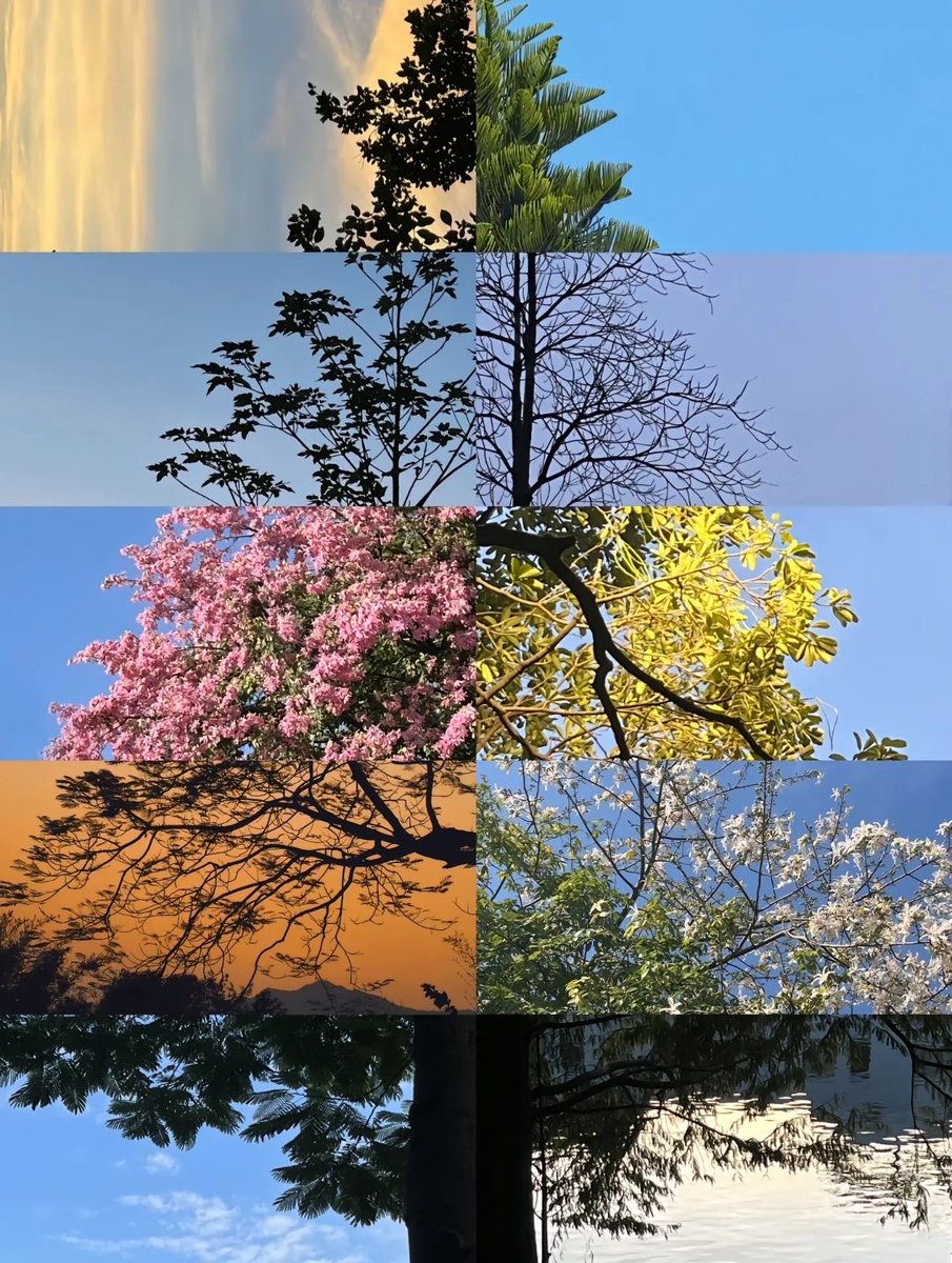 300moods's tweet photo. nature throughout the seasons 🌿 https://t.co/AKJxUejc0S