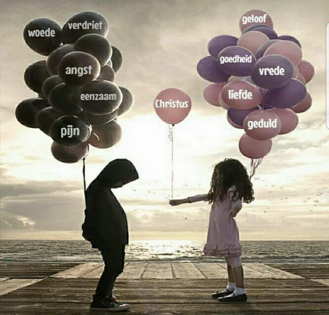 KikiFloor68's tweet image. Wat heeft deze zieke wereld nodig? 

#geloof✝️ #goedheid
 #vrede🕊 #liefde💜 #geduld   #JezusChristus 🙏🏼
⬇️⬇️⬇️⬇️⬇️⬇️⬇️⬇️⬇️⬇️⬇️