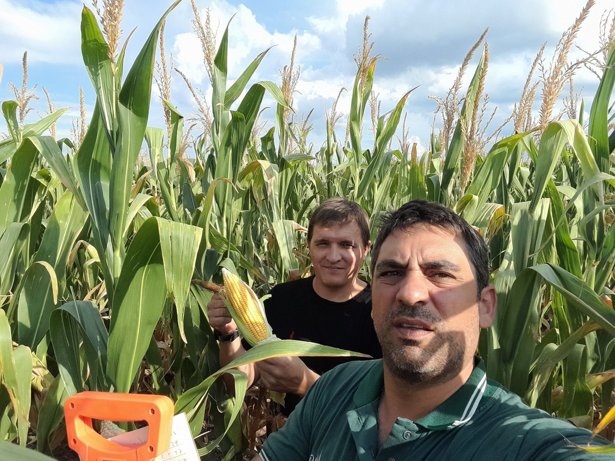 Mariano Martinez tweet media