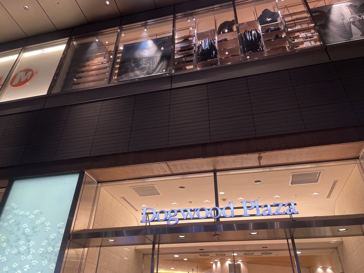 本日は、みなとみらいで用事があったのでその帰りに店舗にお邪魔してきましたー！
後藤店長と一ノ瀬くんが優しくお出迎えしてくれました🍀

また帰宅途中の二子玉川にもお邪魔し、
丸店長と久々にお話出来て嬉しかったです！

明日からまた頑張ろ🔥

 #みなとみらい  #二子玉川  #溝口