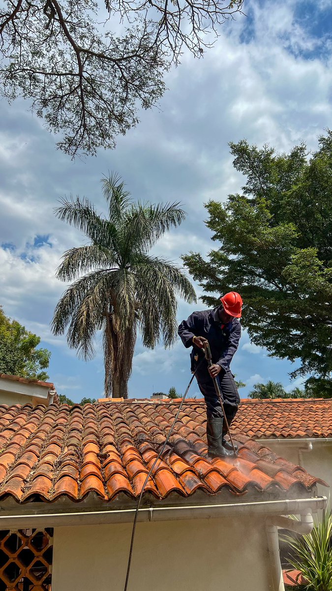 HConsultantsug's tweet photo. Roof to floor, we clean it all! ✨
#HygieneExperts #TopToBottom #HygieneConsultantsUG https://t.co/uw7w6HEUOz