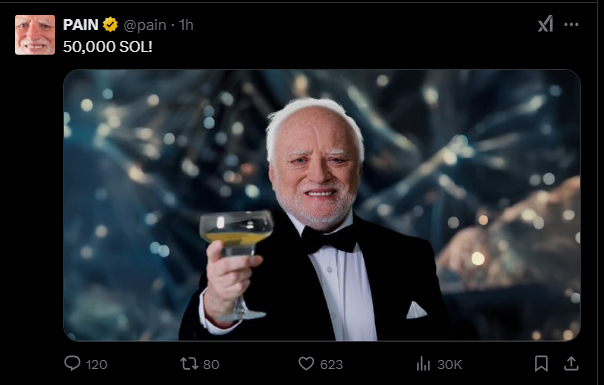 2muha_'s tweet photo. People who threw their $SOL into the $PAIN presale are already feeling the pain after launch? Now that's the real pain. https://t.co/tNev3blkob