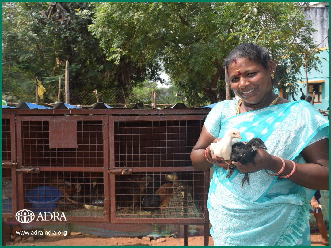 ADRAINDIA1's tweet image. The PACE project by #ADRA empowers 25 families in Kalpattu, Tamil Nadu, with 20 chicks &amp;amp; a coop each, promoting backyard poultry farming for #SustainableLivelihoods. Supported by Panchayat officials, this initiative uplifts vulnerable households. More to come soon! #PACEProject