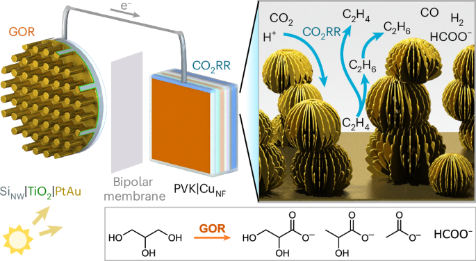 Nature Catalysis (@naturecatalysis) on Twitter photo Perovskite-driven solar C2 hydrocarbon synthesis from CO2 bit.ly/4go6fYG Perovskite-driven solar C2 hydrocarbon synthesis from CO2 bit.ly/4go6fYG