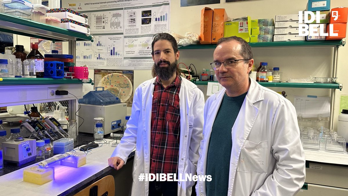 💡Un fàrmac activat per la llum per lluitar contra la psoriasi.
Una recerca liderada per <a href="/UniBarcelona/">Universitat de Barcelona</a>-IDIBELL presenta un nou fotofàrmac que és eficaç per abordar el tractament de la psoriasi i reduir els efectes adversos dels tractaments convencionals.
🆕idibell.cat/2025/02/un-far…