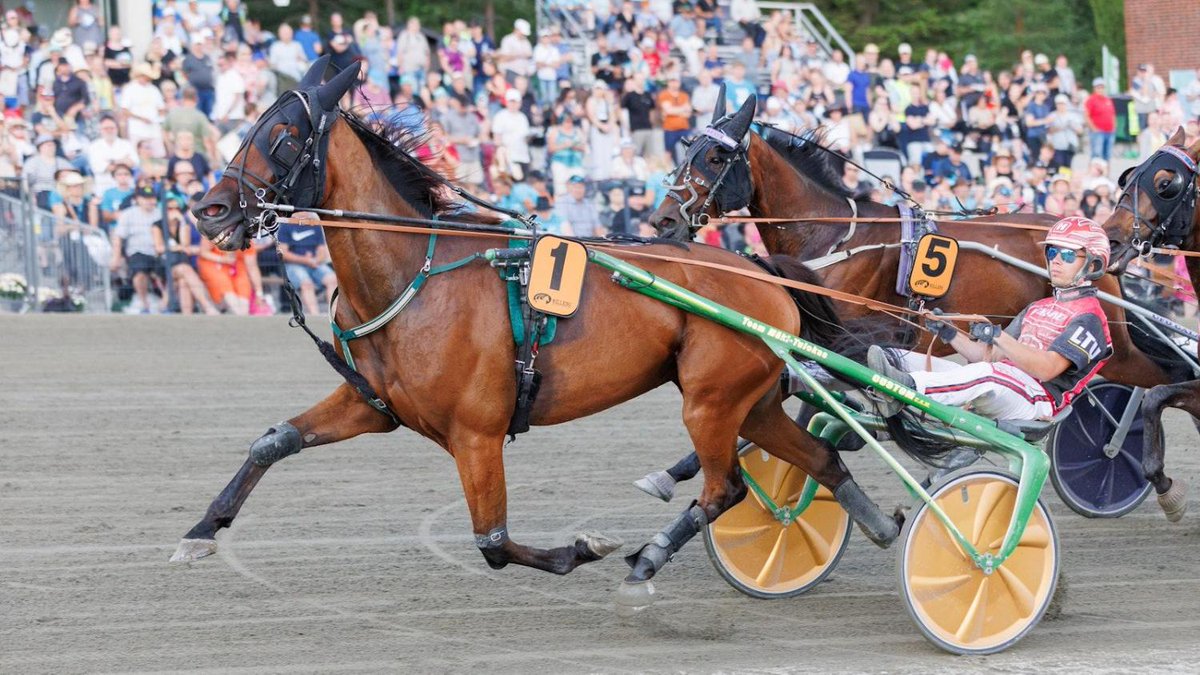 Isto Kuismalle uusi pronssidivisioonahevonen, Solvallassa keskiviikkona yllätyssaumoja maaseuduntulevaisuus.fi/hevoset/7dc295…