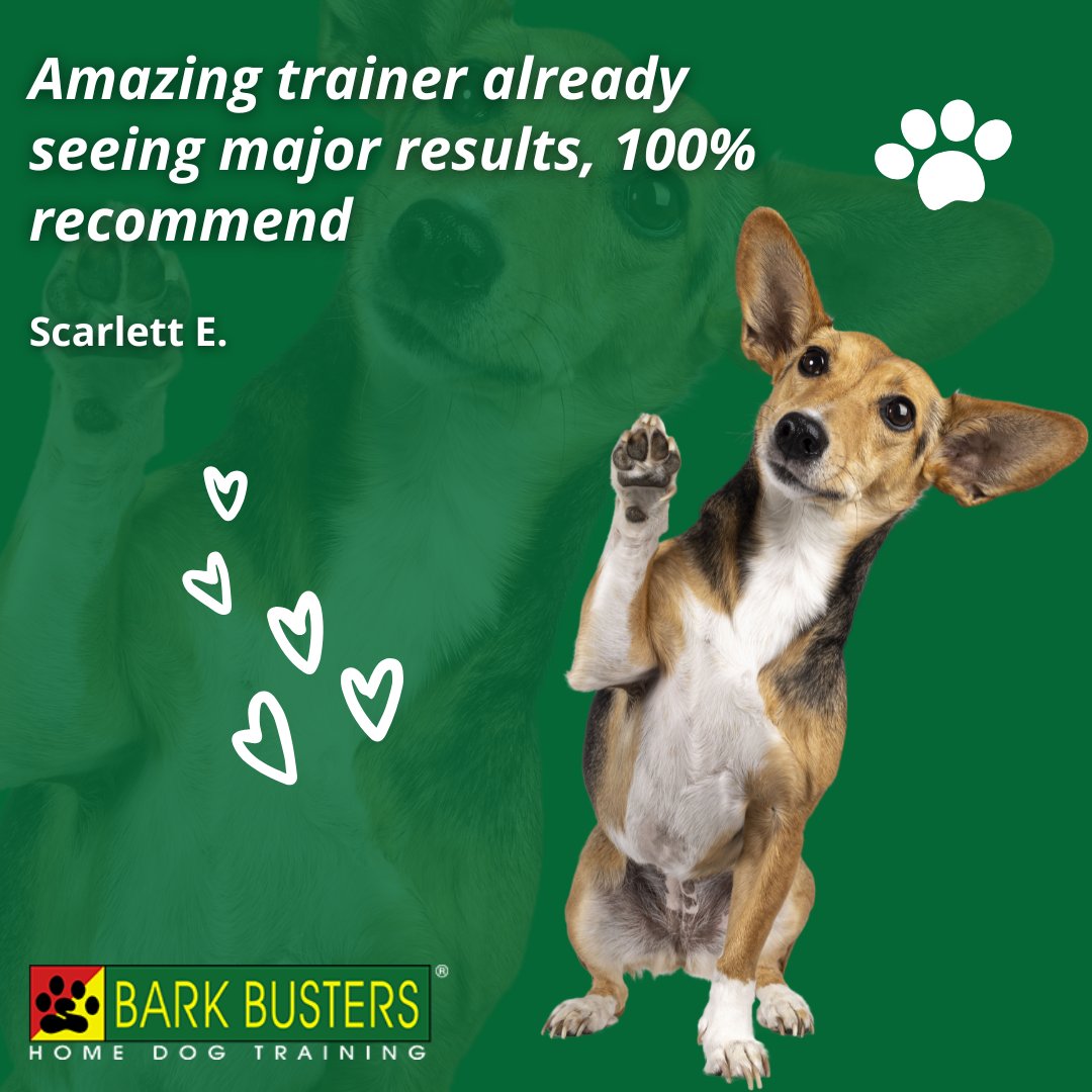 BarkBustersVC's tweet photo. 🐾 Is your pup’s behavior making life ruff? 🐶 Bark Busters Ventura County brings expert, in-home training to help with barking, jumping, leash pulling, and more! 🏡✨ 

🔗 https://t.co/xplKHL0kBe

#BarkBusters #DogTraining #VenturaCounty #HappyDogs #PawsitiveChange 🐕💛 https://t.co/2Hrsx619dd