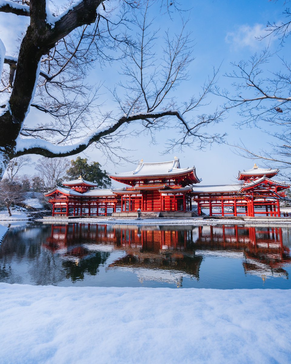kusafoto's tweet photo. 平等院の雪景色が綺麗すぎる https://t.co/zDW10jgfSx