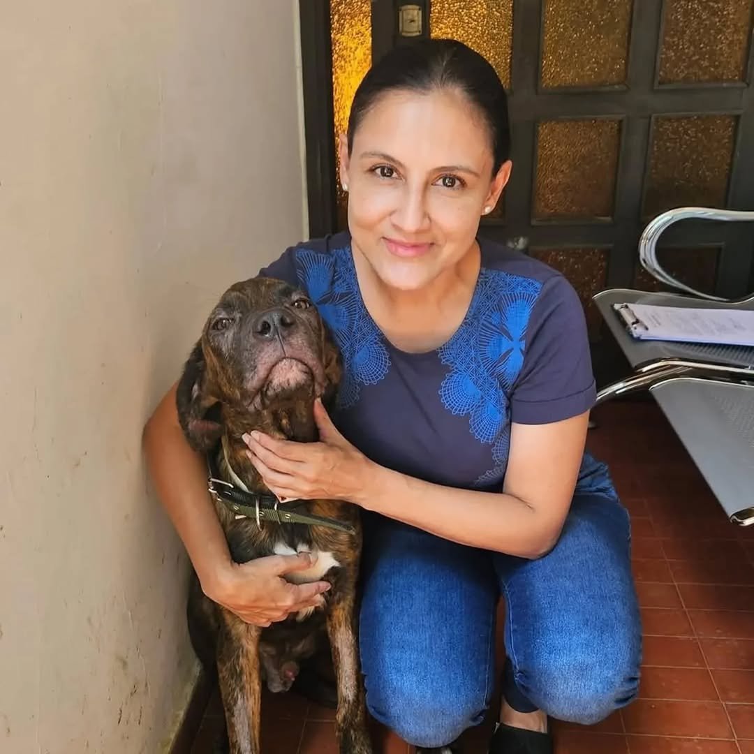 defensanimalpy's tweet photo. Tyson 🐶 

Este hermoso perrito 🐶 maltratado y arrastrado con una moto ya tiene una hermosa familia 🥰

@hector_rubin
#gobiernodelparaguay https://t.co/kHCZ9X2gAy