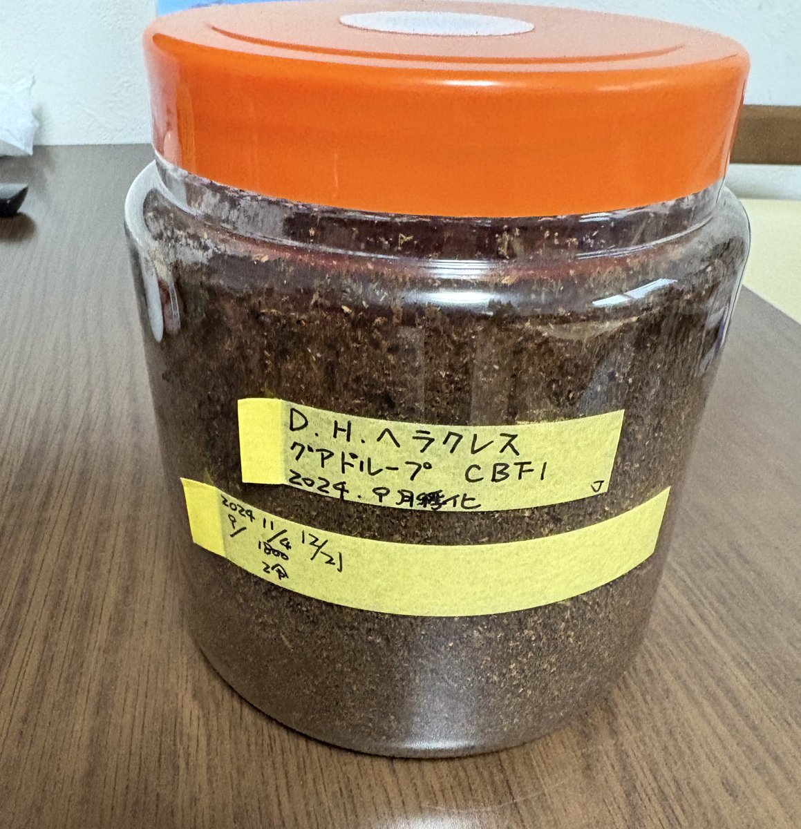 ヘラクレスヘラクレスの幼虫ゲットー！！！😆
オスなので楽しみー😆✨🪲