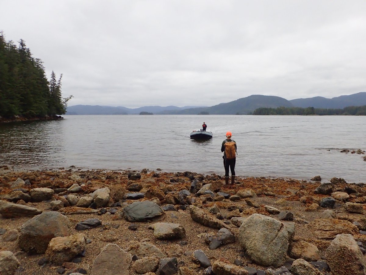 obligatory traveler tweet media