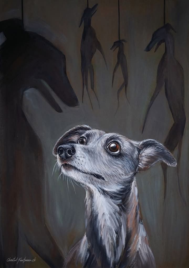 Galgueros sans morale, imbéciles chasseurs.
Ce n'est pas le taureau cette fois qu'on assassine, c'est un chien, le Galgo, par milliers qu'on décime.
Elégant lévrier qui tutoyait les rois
Un outil, un objet, un qui ne compte. 

Eric Frasiak