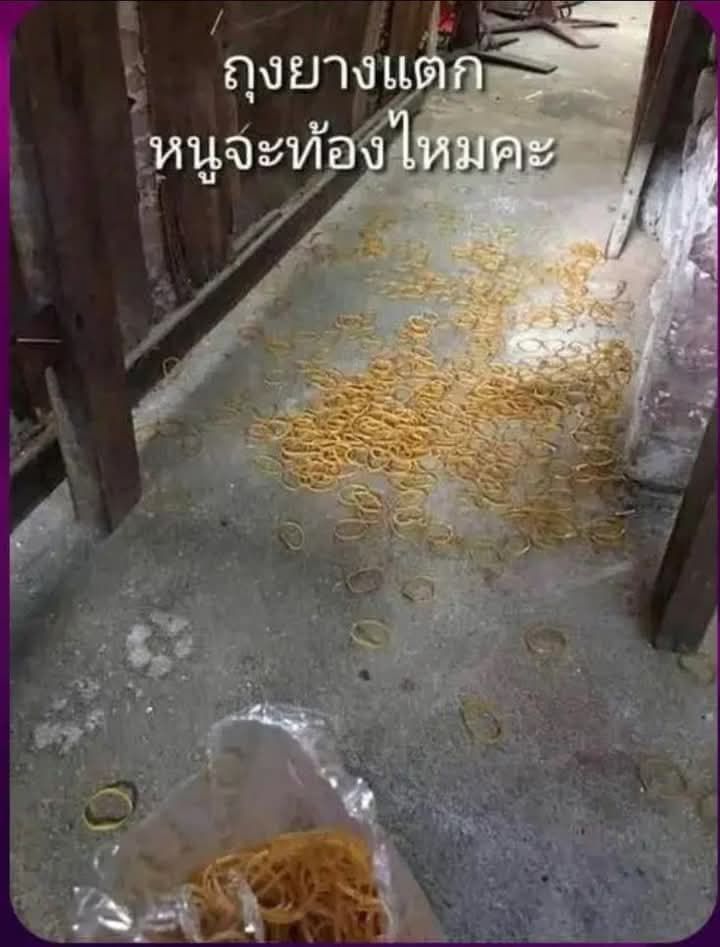 Butter_T's tweet photo. ถ้ารีบกินยาคุมฉุกเฉิน น่าจะพอช่วยได้ https://t.co/e87ZFlMDCt