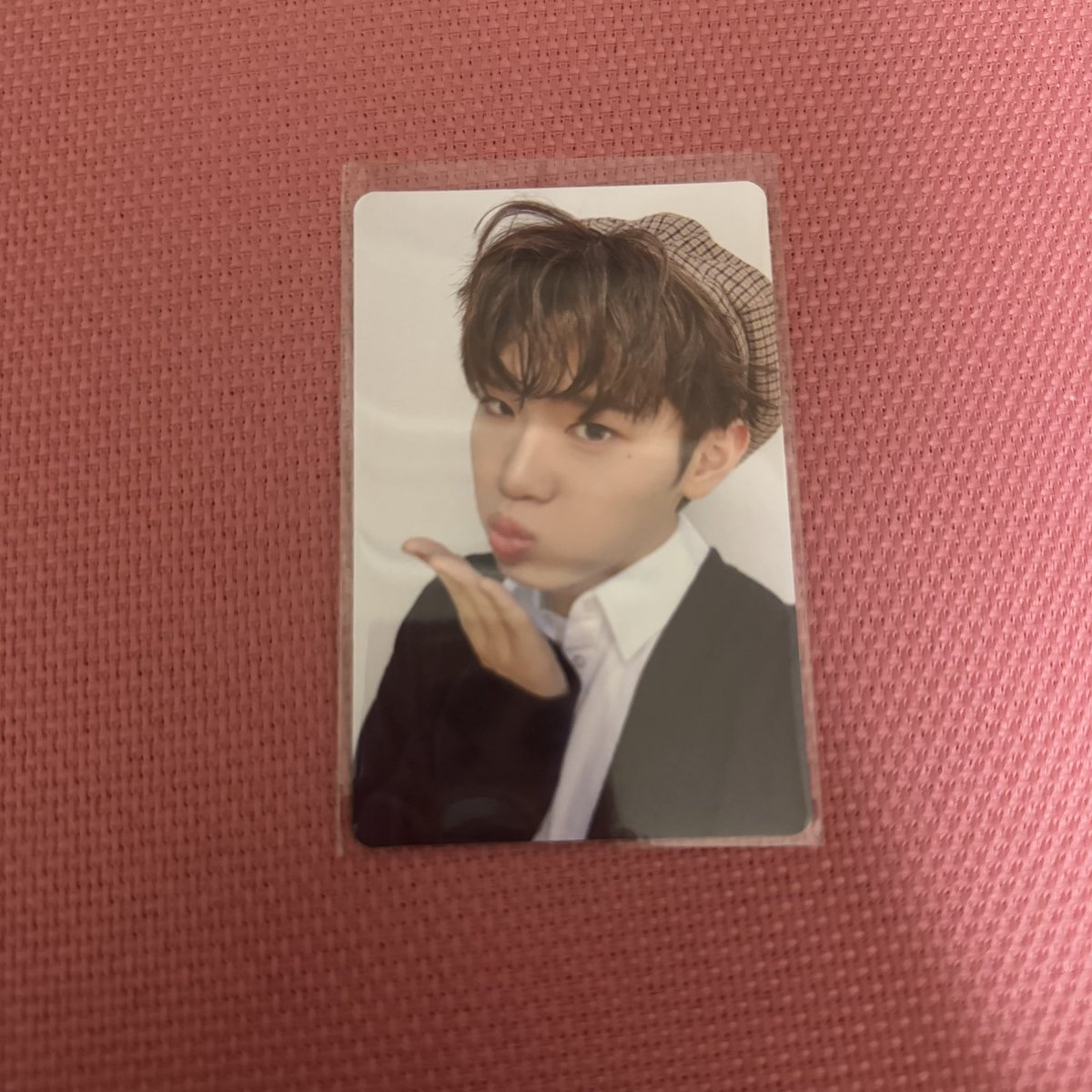 🐰🐶🤍🩵 tweet media