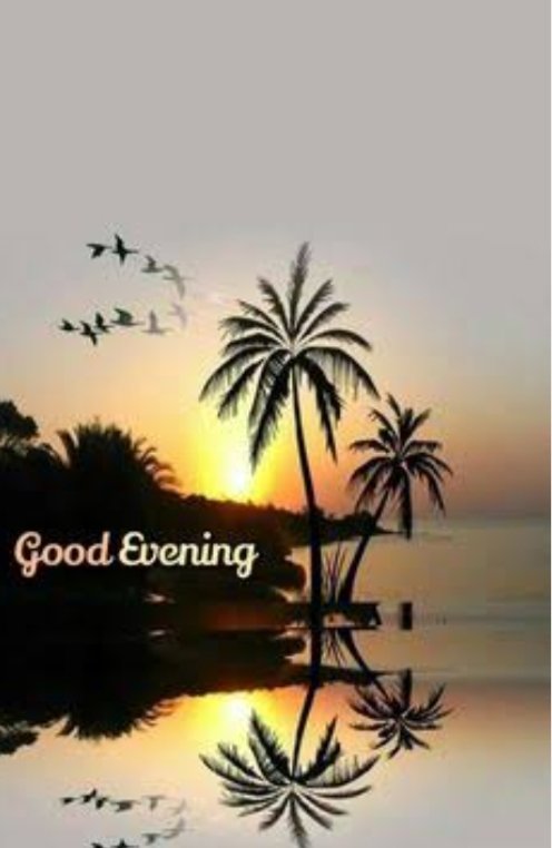 SunilY93656's tweet photo. 🌹🌹Good Evening X Family🌹🌹
❤❤❤❤❤❤❤❤❤❤❤❤❤❤❤
#GoodEveningTwitterWorld
❤❤❤❤❤❤❤❤❤❤❤❤❤❤❤
#zelena  #ElonMusk  #Trump  #MAGA
🌹🌹🌹🌹🌹🌹🌹🌹🌹🌹🌹🌹🌹🌹🌹
#JayShreeRadheShyam 
#HappyBasantPanchami 
#SubhSandhya
🌹🌹🌹🌹🌹🌹🌹🌹🌹🌹🌹🌹🌹🌹🌹
🌹🙏🙏🌹 https://t.co/Jx3OiJQ2uE