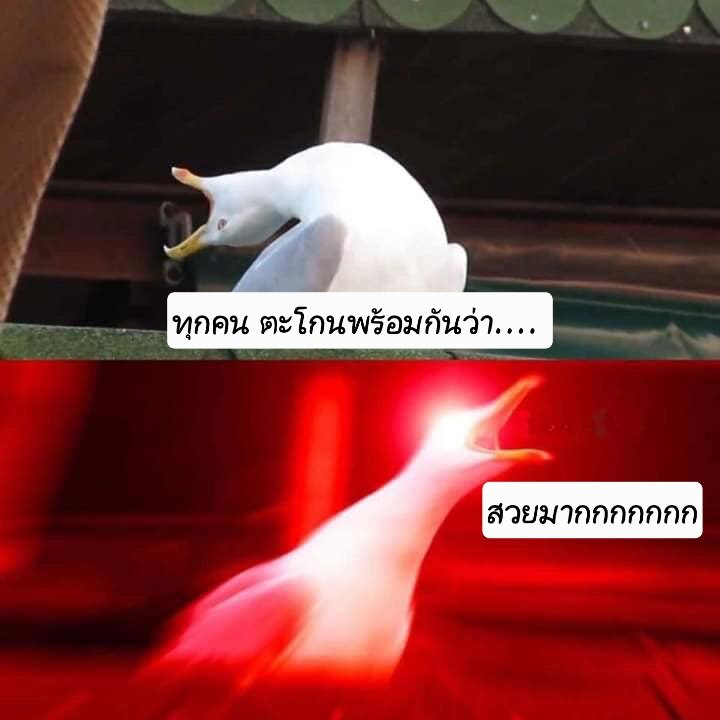 ComeToDuckSide's tweet image. Totsuzen Do Love Kaiwan
#TotsuzenDoLoveMeTH
#KaiwanCGM48