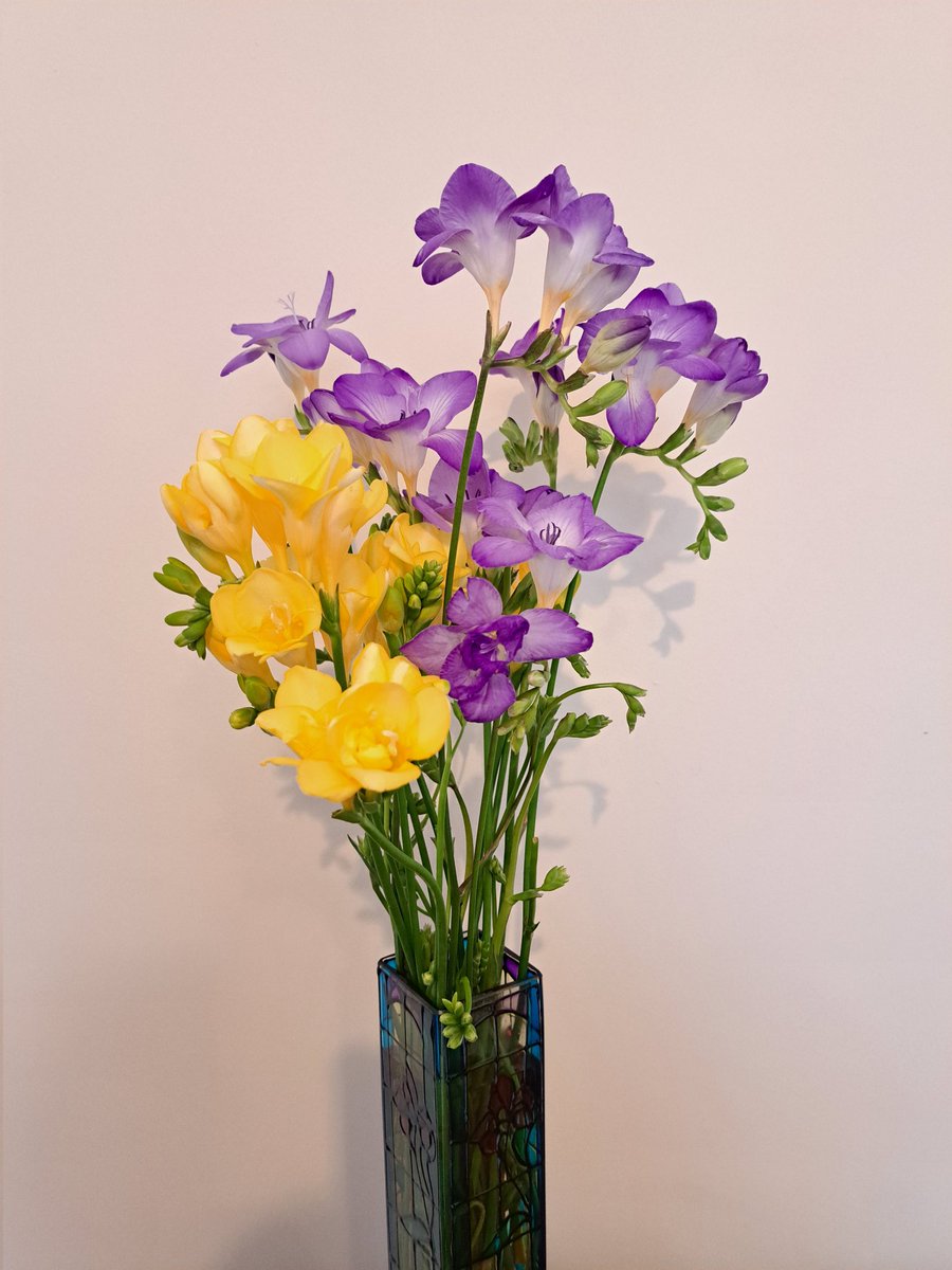 AuthorTracyRees's tweet image. Today I am on the sofa with a streaming cold 😪 Don't get them often. Taking much comfort in these beautiful flowers. And, of course, a good book! #books #reading #resting #MondayVibes #flowers