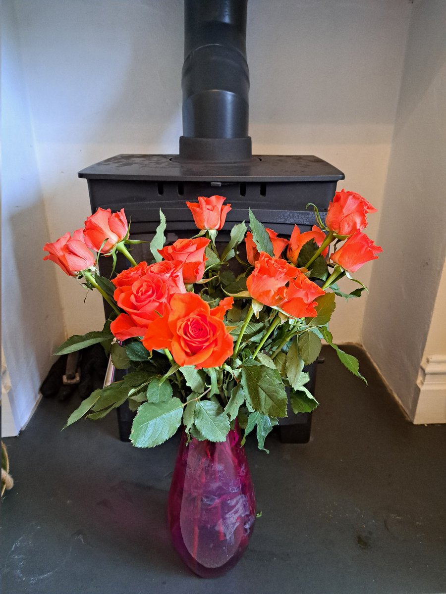 AuthorTracyRees's tweet image. Today I am on the sofa with a streaming cold 😪 Don't get them often. Taking much comfort in these beautiful flowers. And, of course, a good book! #books #reading #resting #MondayVibes #flowers