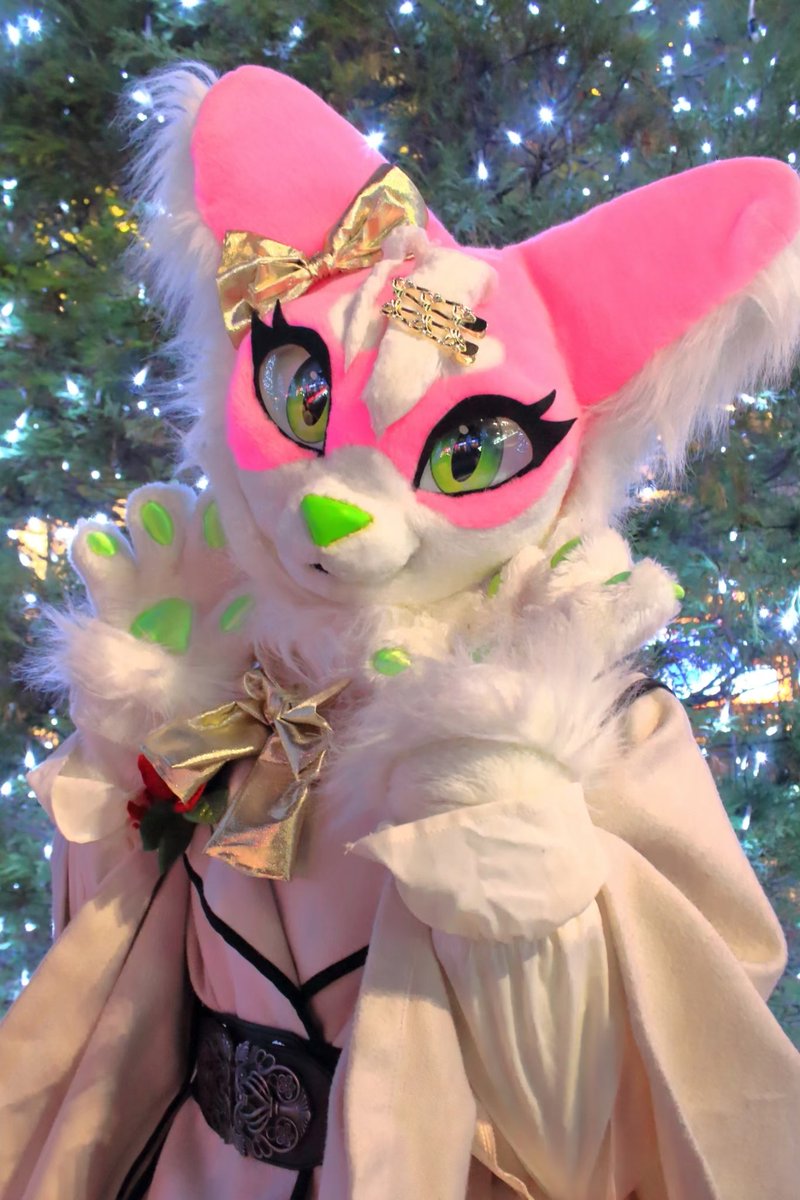 ゆきんこ🍕 (@yukinkoacf) / Posts / X