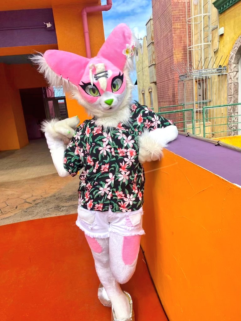 ゆきんこ🍕 (@yukinkoacf) / Posts / X